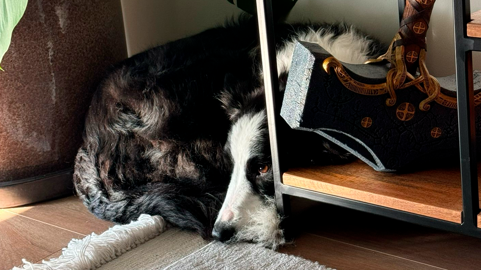 Studio moment r02f03